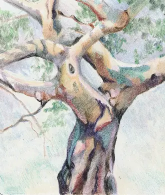 Ежедневник